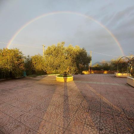 Lisandro Wine Resort Apartments Caserta Castel Campagnano 外观 照片