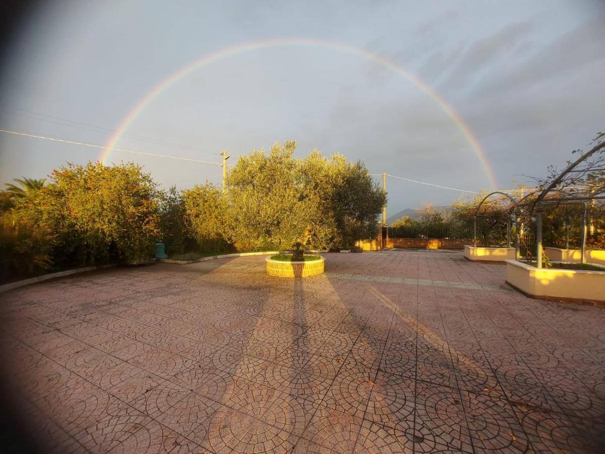 Lisandro Wine Resort Apartments Caserta Castel Campagnano 外观 照片