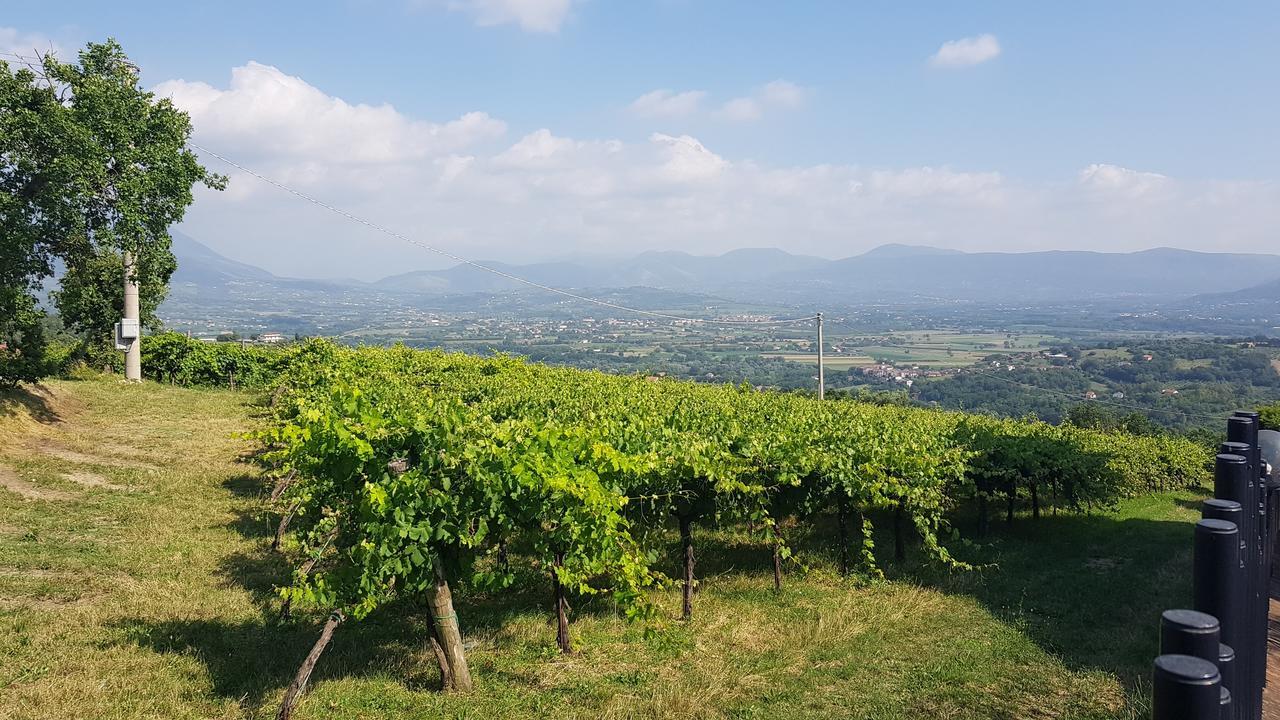 Lisandro Wine Resort Apartments Caserta Castel Campagnano 外观 照片