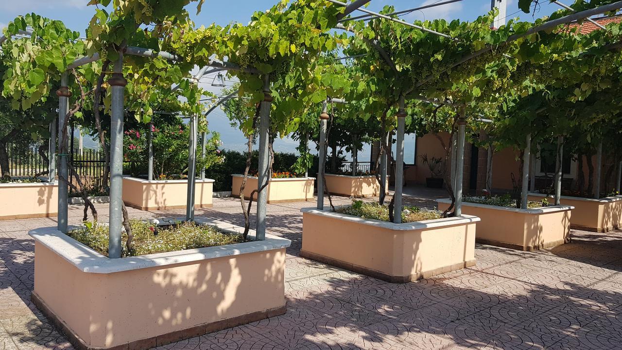 Lisandro Wine Resort Apartments Caserta Castel Campagnano 外观 照片