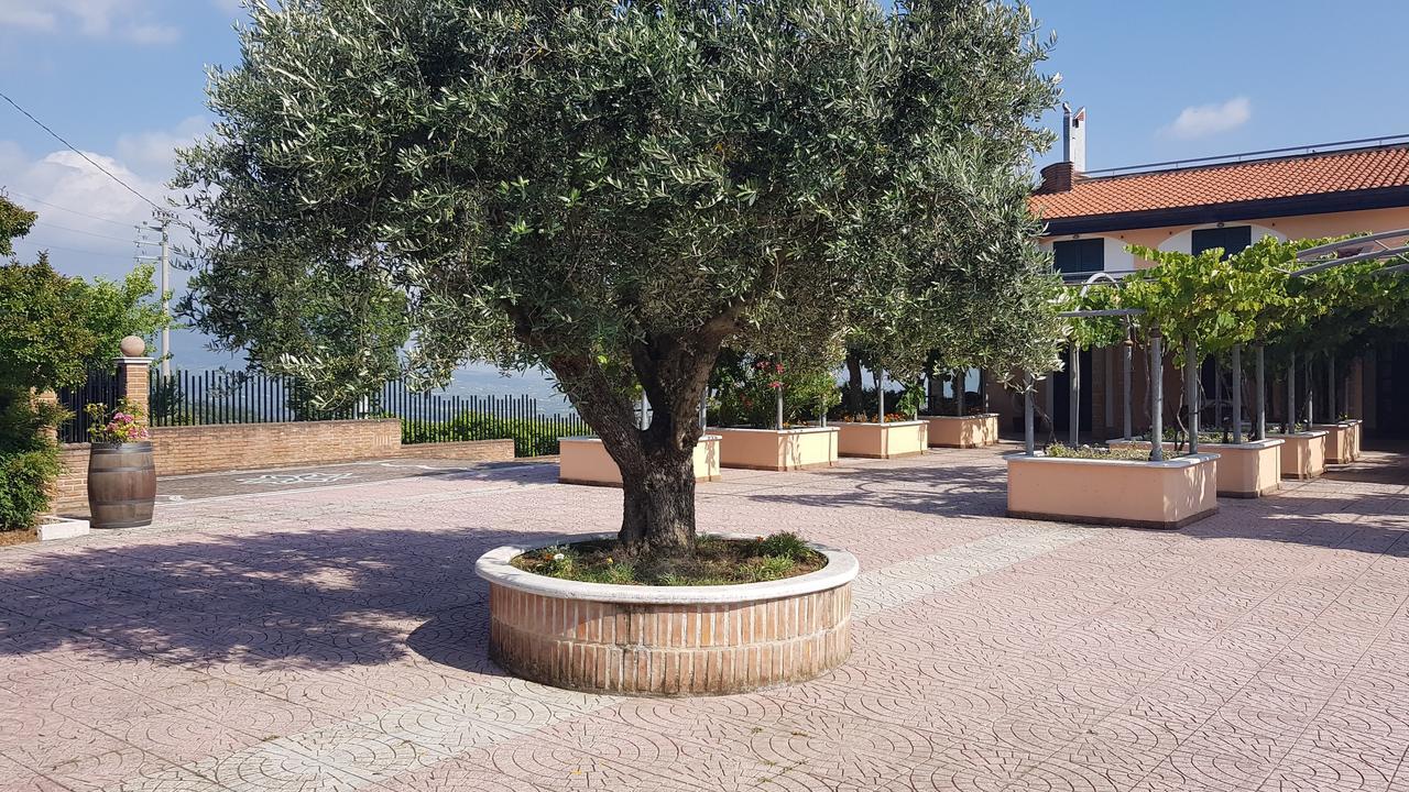 Lisandro Wine Resort Apartments Caserta Castel Campagnano 外观 照片