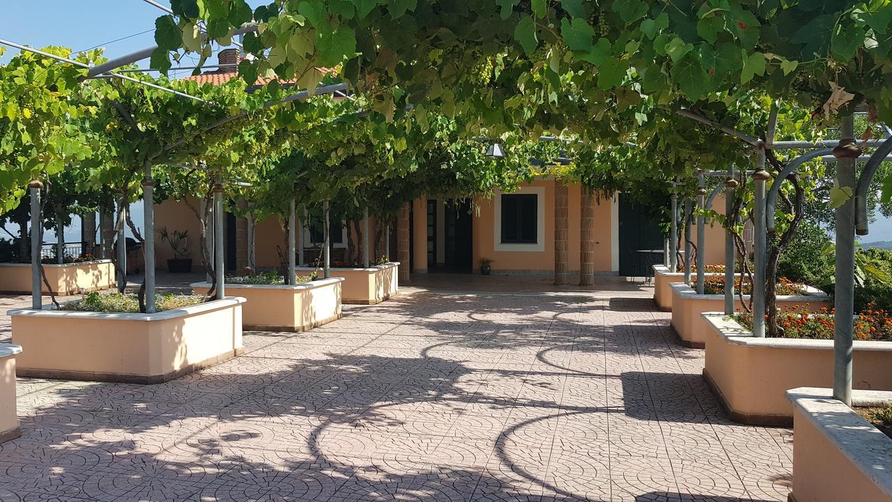 Lisandro Wine Resort Apartments Caserta Castel Campagnano 外观 照片
