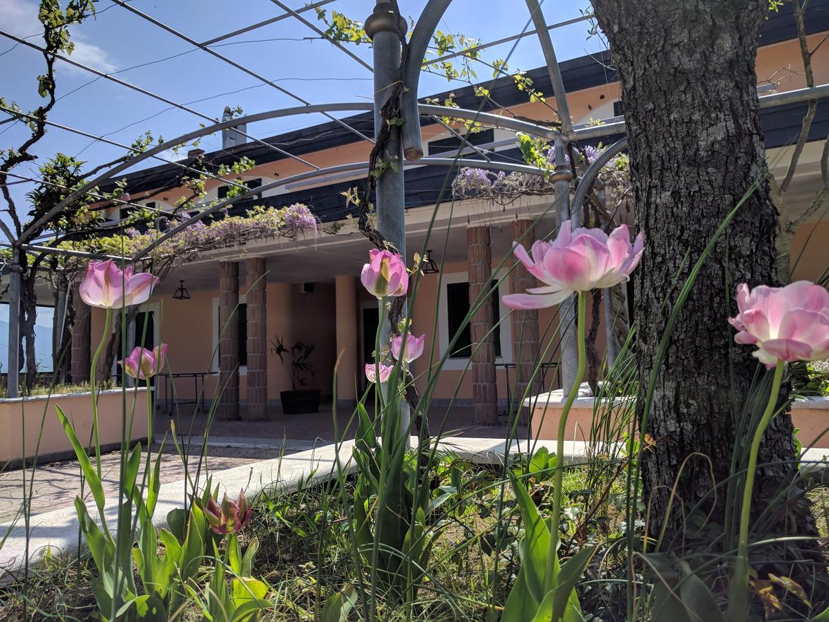 Lisandro Wine Resort Apartments Caserta Castel Campagnano 外观 照片